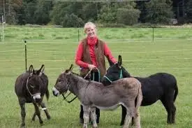 Susan King